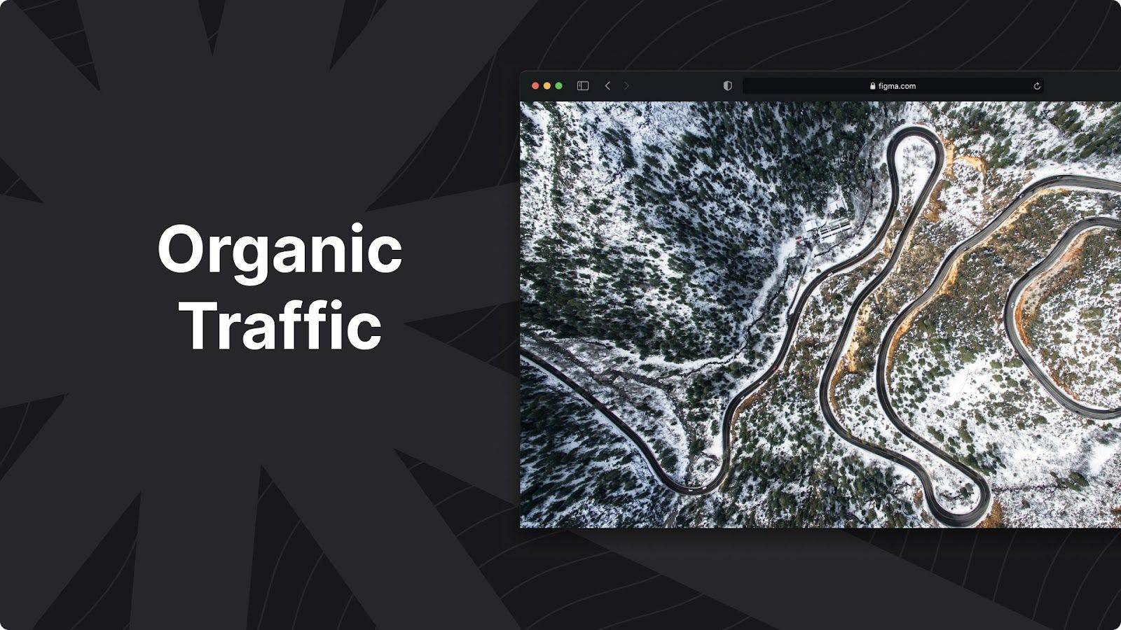 Organic Traffic: Understanding the Backbone of eCommerce Success