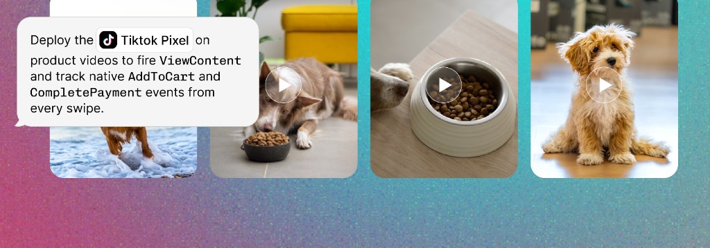 TikTok integration workflow example